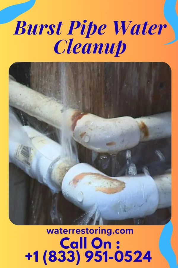 Burst Pipe Water Cleanup in Courtdale, PA
