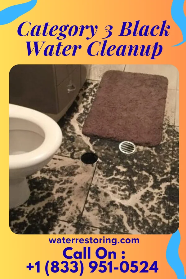 Category 3 Black Water Cleanup in Courtdale, PA