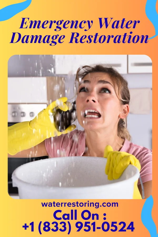 Emergency Water Damage Restoration in Courtdale, PA