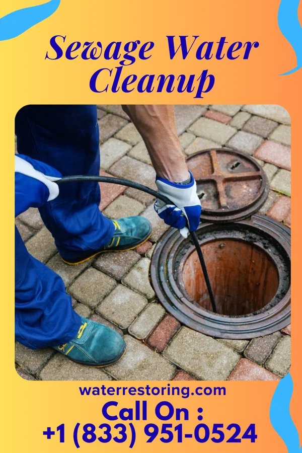 Sewage Water Cleanup in Courtdale, PA