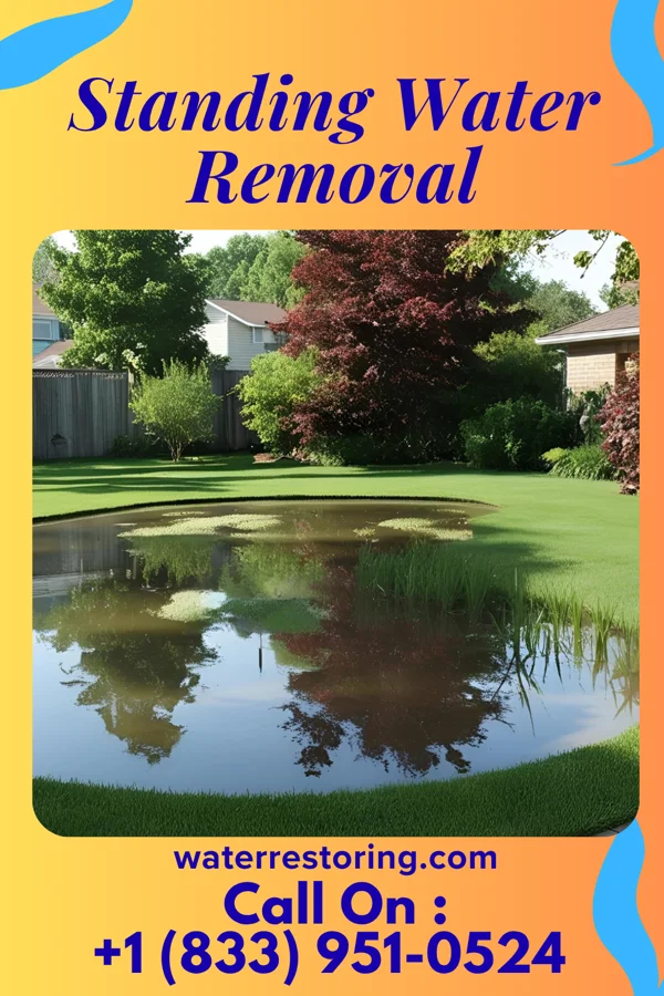 Standing Water Removal in Courtdale, PA
